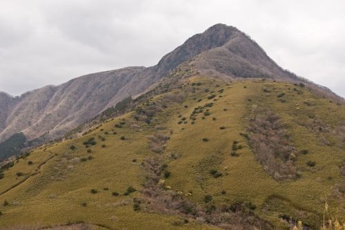 実際訪問したユーザーが直接撮影して投稿した仙石原山 / 峠金時山の写真