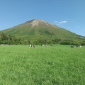 実際訪問したユーザーが直接撮影して投稿した大山山 / 峠大山の写真