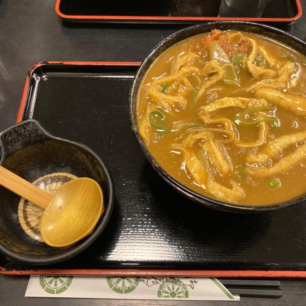 ユーザーが投稿したかつカレーうどんの写真 - 実際訪問したユーザーが直接撮影して投稿した江川町うどんつるやの写真