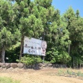 実際訪問したユーザーが直接撮影して投稿した余川町カフェ森の木いちご畑Cafeの写真