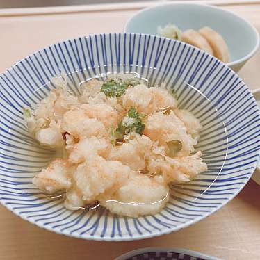 実際訪問したユーザーが直接撮影して投稿した神田駿河台天ぷらてんぷらと和食 山の上 本店・御茶ノ水の写真