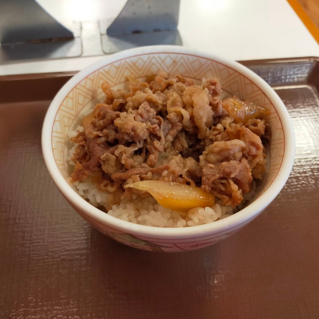 ユーザーが投稿した牛丼ミニの写真 - 実際訪問したユーザーが直接撮影して投稿した中川西牛丼すき家 大池橋店の写真