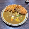 ポークカレー - 実際訪問したユーザーが直接撮影して投稿した岡野カレーカレーハウスCoCo壱番屋 横浜駅西口店の写真のメニュー情報