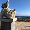 実際訪問したユーザーが直接撮影して投稿した青島神社青島神社の写真