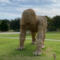 実際訪問したユーザーが直接撮影して投稿した則貞公園ときわ公園の写真