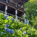 実際訪問したユーザーが直接撮影して投稿した大原野小塩町寺善峯寺の写真