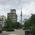 実際訪問したユーザーが直接撮影して投稿した東浅草公園山谷堀公園の写真