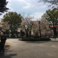 実際訪問したユーザーが直接撮影して投稿した宮元町公園高崎公園の写真