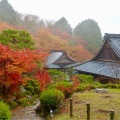 実際訪問したユーザーが直接撮影して投稿した百済寺町寺百済寺の写真