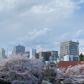 実際訪問したユーザーが直接撮影して投稿した元町公園元町公園の写真