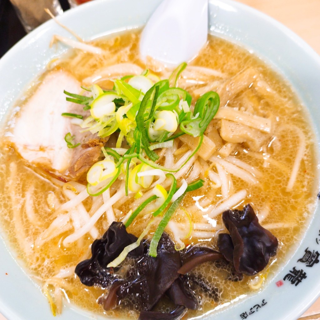 ユーザーが投稿した味噌ラーメンの写真 - 実際訪問したユーザーが直接撮影して投稿した北五条西ラーメン専門店アピア洋食・中華ラーメン・ラーメンの寳龍の写真