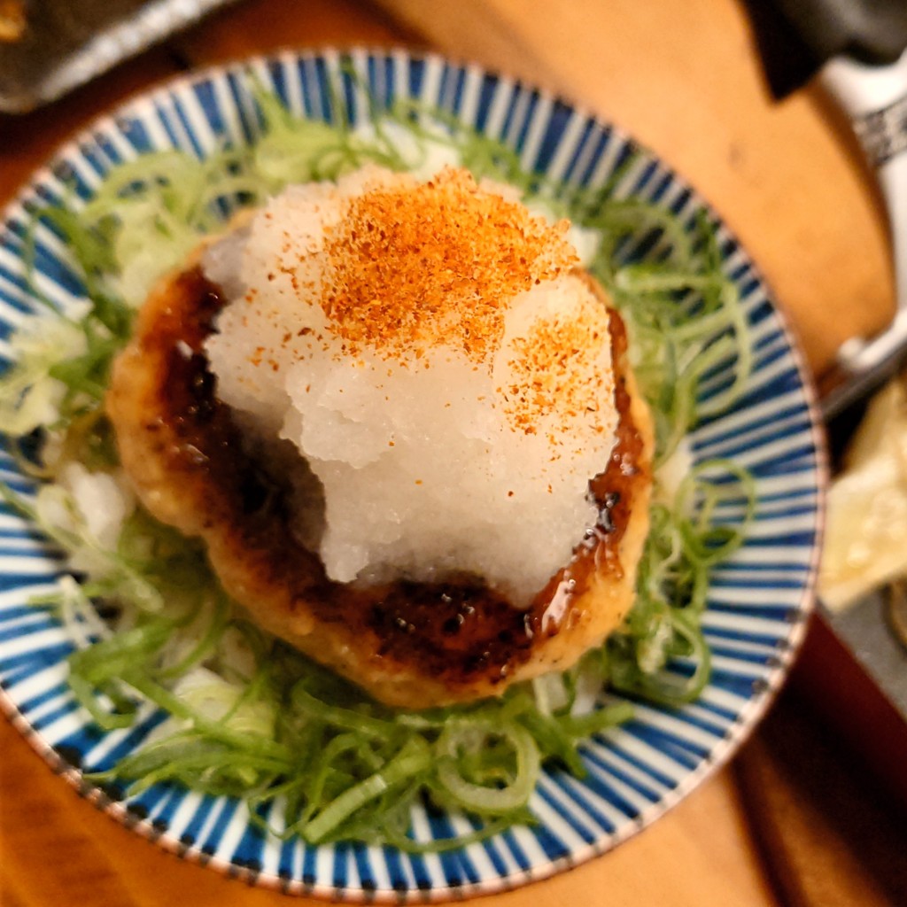 ユーザーが投稿したハンバーグご飯の写真 - 実際訪問したユーザーが直接撮影して投稿した帯屋町鶏料理元祖鳥焼き 鳥ボーン 高知店の写真