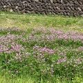 実際訪問したユーザーが直接撮影して投稿した鶴牧公園鶴牧西公園の写真