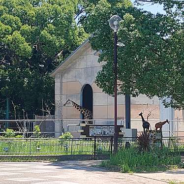 大牟田市動物園のundefinedに実際訪問訪問したユーザーunknownさんが新しく投稿した新着口コミの写真