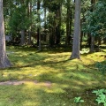 実際訪問したユーザーが直接撮影して投稿した日用町植物園 / 樹木園苔の里の写真