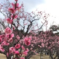 実際訪問したユーザーが直接撮影して投稿した若松町公園南公園の写真