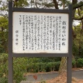 実際訪問したユーザーが直接撮影して投稿した有明町公園琴弾公園の写真