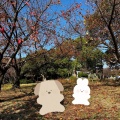 実際訪問したユーザーが直接撮影して投稿した東ケ丘町公園中央公園の写真