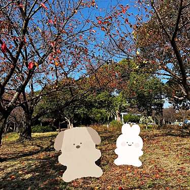 実際訪問したユーザーが直接撮影して投稿した東ケ丘町公園中央公園の写真