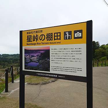 実際訪問したユーザーが直接撮影して投稿した峠地域名所星峠の棚田の写真