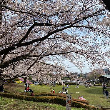 実際訪問したユーザーが直接撮影して投稿した緑ケ丘公園かにが沢公園の写真