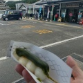 実際訪問したユーザーが直接撮影して投稿した土山町北土山道の駅道の駅 あいの土山の写真