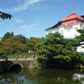 実際訪問したユーザーが直接撮影して投稿した馬場町公園鶴岡公園の写真