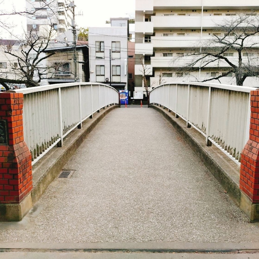 実際訪問したユーザーが直接撮影して投稿した関口橋大滝橋(神田川)の写真