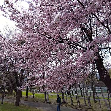 発寒河畔公園のundefinedに実際訪問訪問したユーザーunknownさんが新しく投稿した新着口コミの写真