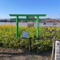 実際訪問したユーザーが直接撮影して投稿した玉島公園溜川公園の写真