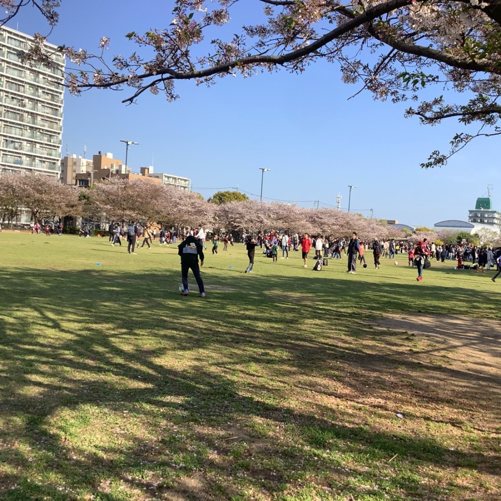 実際訪問したユーザーが直接撮影して投稿した御崎町公園御崎公園の写真