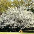 実際訪問したユーザーが直接撮影して投稿した見沼公園市民の森 見沼グリーンセンターの写真