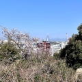 実際訪問したユーザーが直接撮影して投稿した西公園神社光雲神社の写真