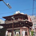 実際訪問したユーザーが直接撮影して投稿した銀座町和菓子熱海 本家ときわぎの写真