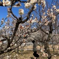 実際訪問したユーザーが直接撮影して投稿した公園笠寺公園の写真