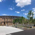 Tropical Mango Bowl - 実際訪問したユーザーが直接撮影して投稿した神宮前カフェTREE by NAKED meiji parkの写真のメニュー情報