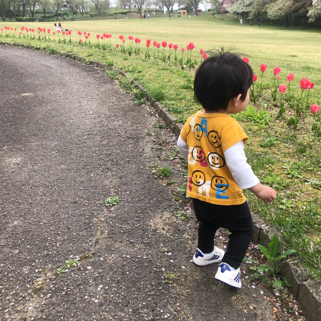 実際訪問したユーザーが直接撮影して投稿した浜田公園大森山公園の写真