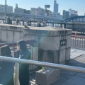 実際訪問したユーザーが直接撮影して投稿した吾妻橋地域名所吾妻橋の写真