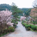 実際訪問したユーザーが直接撮影して投稿した初瀬寺長谷寺の写真