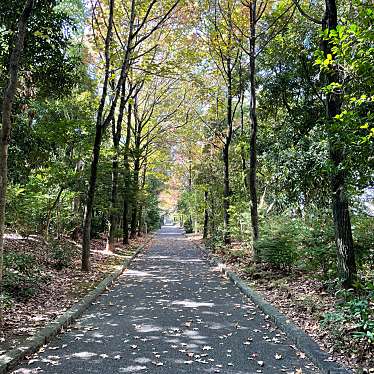 実際訪問したユーザーが直接撮影して投稿した向島二ノ丸町公園向島中央公園の写真