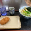 実際訪問したユーザーが直接撮影して投稿した桜町うどん讃岐うどん こがね 高松桜町店の写真