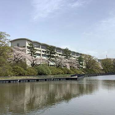 実際訪問したユーザーが直接撮影して投稿した千秋公園公園千秋公園の写真