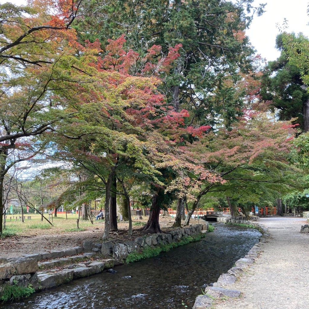 okometopanさんが投稿した上賀茂本山神社のお店上賀茂神社/カミガモ ジンジャの写真