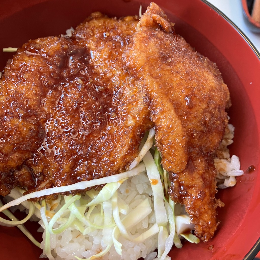 ユーザーが投稿したソースカツ丼の写真 - 実際訪問したユーザーが直接撮影して投稿した三国町崎うどん越前松島水族館 展望レストランの写真