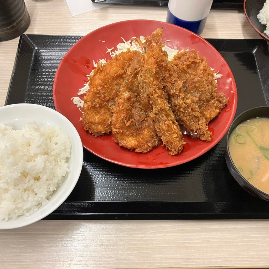 ユーザーが投稿したタレカツ定食の写真 - 実際訪問したユーザーが直接撮影して投稿した大佐野とんかつかつや 太宰府大佐野店の写真