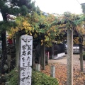 実際訪問したユーザーが直接撮影して投稿した前潟神社恵美須神社の写真