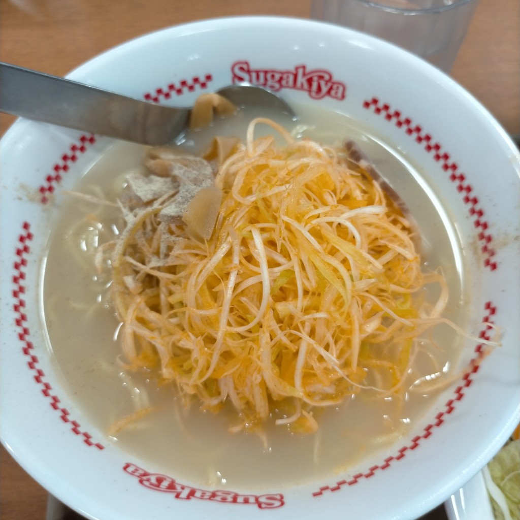 ユーザーが投稿したネギラーメンの写真 - 実際訪問したユーザーが直接撮影して投稿した宮脇町ラーメン専門店スガキヤ 太平通りヨシヅヤ店の写真