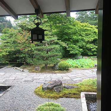 みみみぃみさんが投稿した松尾神ケ谷町地域名所のお店西芳寺庭園/サイホウジテイエンの写真