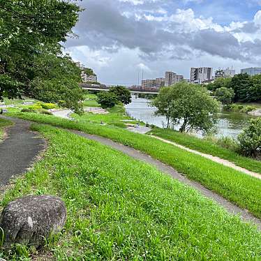 実際訪問したユーザーが直接撮影して投稿した美野島公園第37号那珂川河川緑地の写真