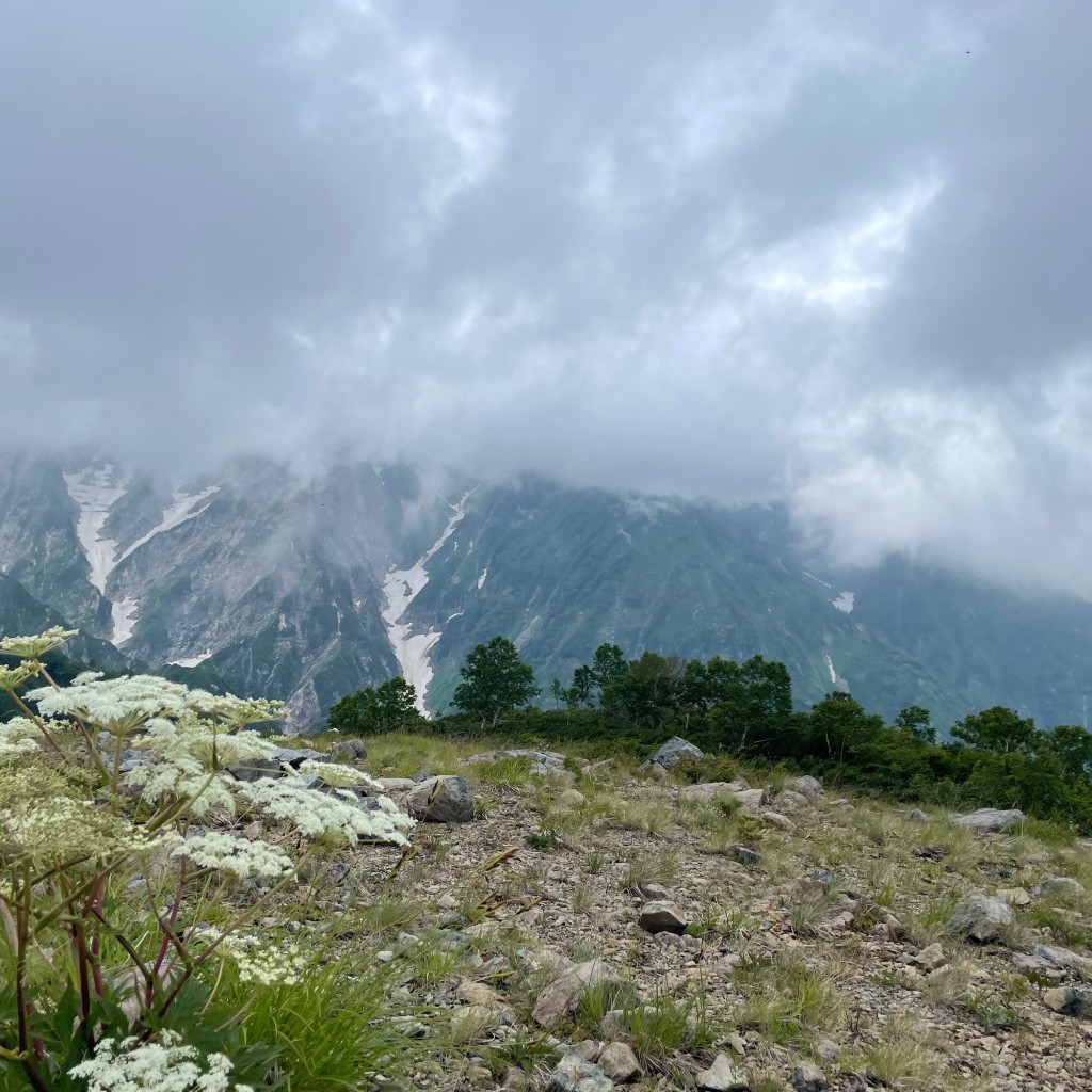 実際訪問したユーザーが直接撮影して投稿した山 / 峠白馬八方尾根の写真